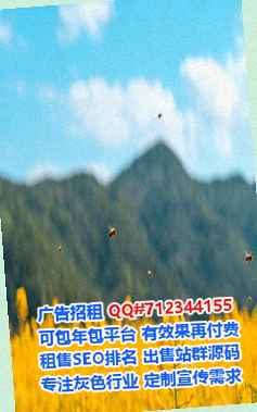青铜峡代母信息技术公司